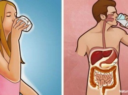 Вот что происходит с вашим телом каждый раз, когда вы пьете воду натощак