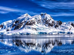Климатические изменения озеленят Антарктиду - Ученые