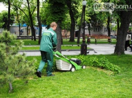 В Кременчуге скошенную траву не выбрасывают (ФОТО)