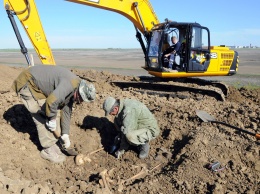 Украинские поисковики удивлены внимательным отношением крымских строителей трассы "Таврида" к останкам солдат ВОВ (ФОТО)