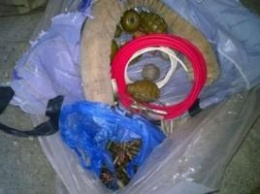 В Донбассе СБУ нашла тайник с огромным количеством боеприпасов и взрывчатки