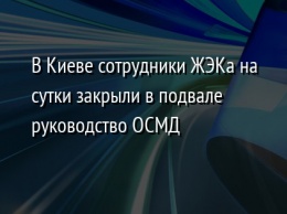 В Киеве сотрудники ЖЭКа на сутки закрыли в подвале руководство ОСМД