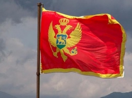 МИД Черногории: Россия вмешивалась в дела страны