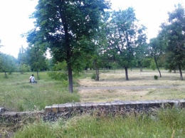 Херсонский парк после "Сладкого Бума" на 50% в порядке (фото)