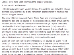 В Австралии огромная акула запрыгнула в лодку к рыбаку и оглушила его