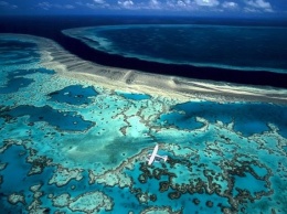 Ученые заявили, что спасти Большой Барьерный риф не получится