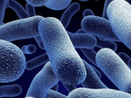 Наночастицы металла очистят полость рта от бактерий
