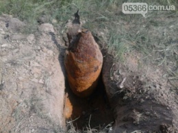 Под Кременчугом в 60 метрах от железной дороги селянин нашел авиабомбу весом 100 кг (ФОТО)