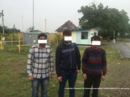 На границе с Украиной задержаны восемь нелегалов, в т. ч. трое сирийцев