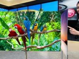 LG представит 55-дюймовый скручиваемый телевизор в 2016 году