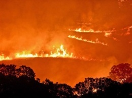 Калифорния: Пожарные не могут справиться с обширными лесными пожарами