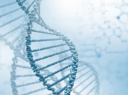 Ученые: ДНК человека полезна всего на 8,2%