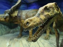 Ученые доказали невозможность воскрешения динозавров