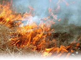 Пожарная опасность: поз Запорожьем горят леса и поля