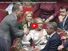 "Эта скотыняка говорила, что будет гордиться президентом Тимошенко", - лидер "Батькивщины" и Ляшко повздорили во время заседания Рады (видео)