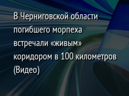 В Черниговской области погибшего морпеха встречали «живым» коридором в 100 километров (Видео)