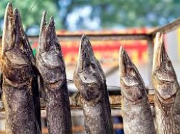 До Запорожской области добрался ботулизм - продажу рыбы ограничат