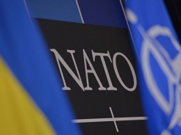 НАТО проведет масштабные учения вблизи Украины