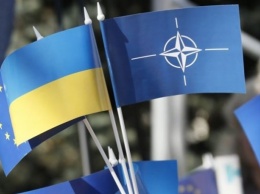 Вступление в НАТО не может быть приоритетом украинской политики - эксперт