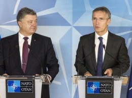 Оно нам НАТО: Почему Украина снова хочет вступить в Североатлантический альянс