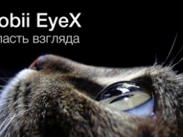 Tobii EyeX: власть взгляда