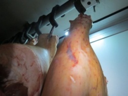Более 18 тонн некачественной украинской свинины не пустили в Крым (ФОТО)