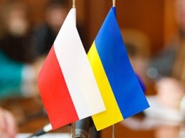 За акциями против Польши в Украине стоит РФ - евродепутат