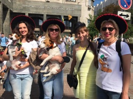 В Киеве прошел парад жизнерадостных собак из фильма "Маска"