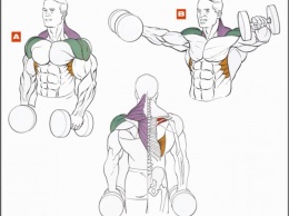 5 профессиональных программ для прокачки мышц плеч