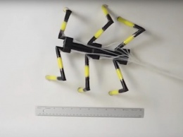 В Гарварде создали робота-паука из коктейльных трубочек