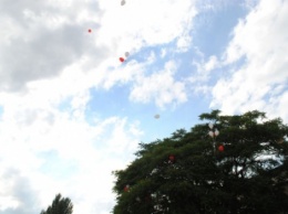 В память о погибшем экипаже в небо улетели белые журавли (фото)