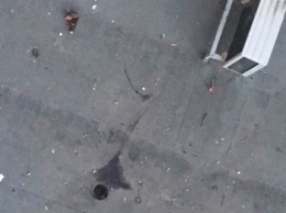 В Одессе озверевшая женщина выбросила из окна 9-го этажа собаку и кошку