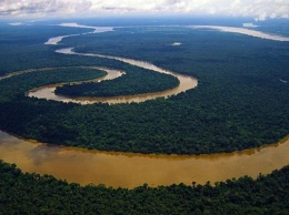 Ученые: Бассейн Амазонки может быть полностью уничтожен