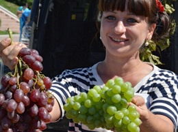 Крымского аграриям предлагают продавать продукции на ярмарках в Москве