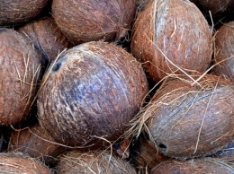 В Мадриде 47,6 кг кокаина пытались спрятать в кокосах