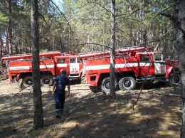 В Херсонской области вновь горят леса