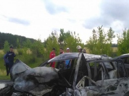 Жуткое ДТП на Киевщине: депутат сгорел в машине (фото)
