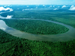 Басейн реки Амазонка находится на грани исчезновения