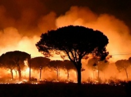 В Испании из-за лесных пожаров эвакуировали более тысячи человек