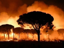 В Испании лесные пожары затронули национальный парк, откуда эвакуировали 2 тысячи человек