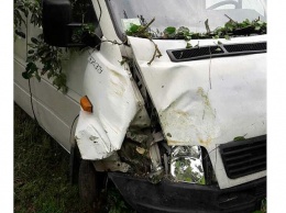 Пьяный водитель грузовика сбил детей в Житомирской области
