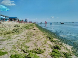Что с пляжами: состояние курортных зон Азовского моря пугает отдыхающих