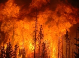 Ученый: Пожары в Бурятии вызвали планеты-гиганты и водород
