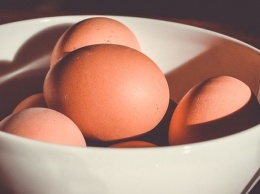 Все, что нужно знать о куриных яйцах