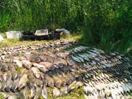 Руководитель НП "Нижнеднепровский" обратился к херсонским рыбакам