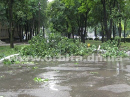 Непогода в Покровске: поломанные деревья, порванные линии электропередач