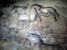 Ученые разобрались в наскальных рисунках древних людей