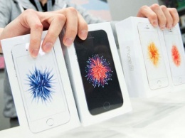 ФАС признала менеджера Apple виновным в незаконной координации цен на iPhone в России