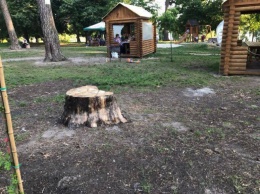 В киевском сквере коммунальщики продолжают "менять" вековые деревья на домики для досуга