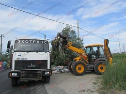 В Бердянске дачники сносят мусор в жилые кварталы